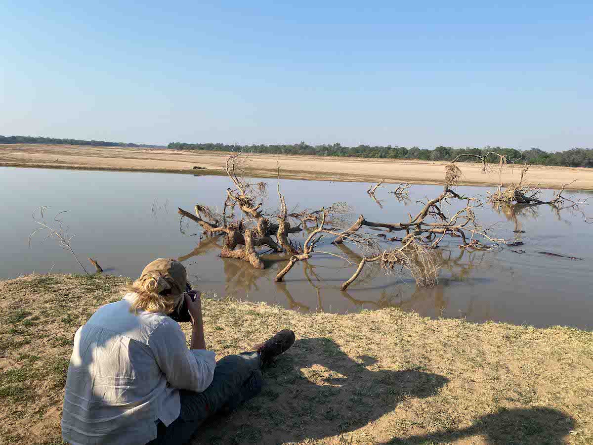 WILDLIFE PHOTOGRAPHY WORKSHOP - SOUTH LUANGWA NATIONAL PARK - 6N7D