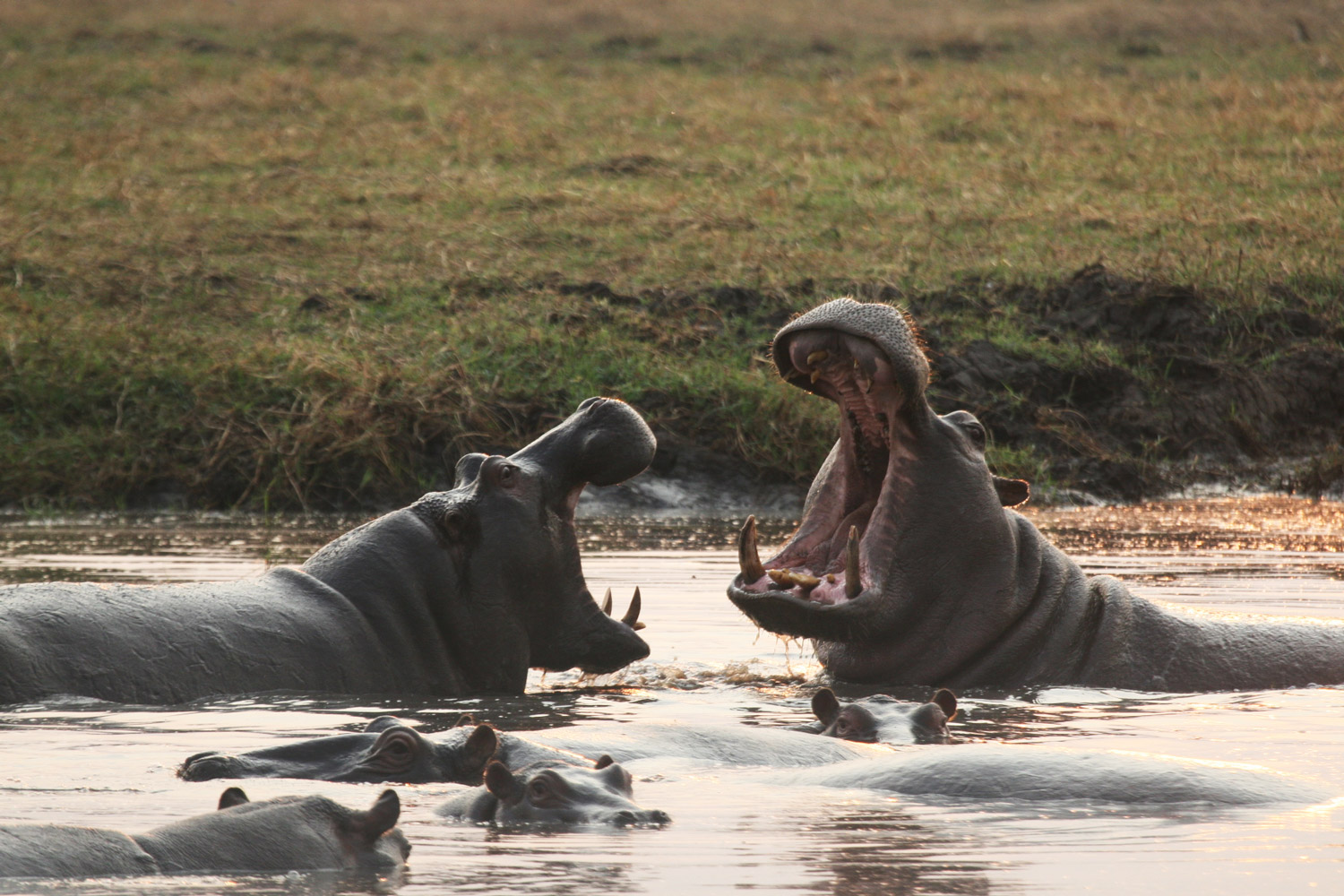 Busanga & Lower Zambezi Escape – 7N/8D
